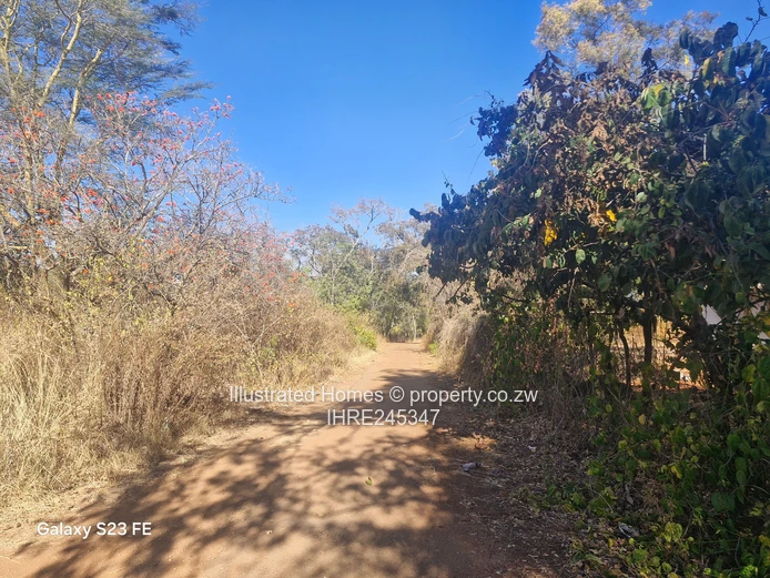 41ha Crowhill Views - Subdividable Land with Main Road Frontage