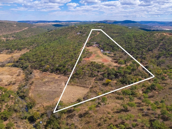 Farm & Agricultural Land