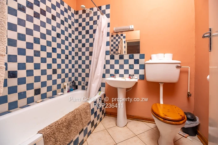 Golden Oldie Great Potential  (Sole Mandate)