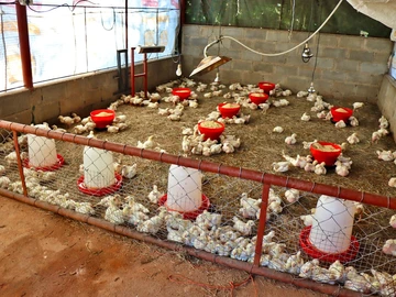 Farm & Agricultural Land