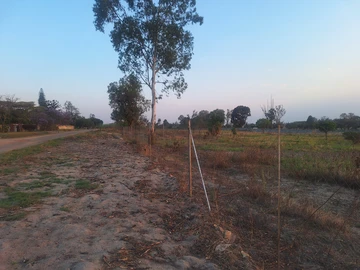 Stands & Residential Land