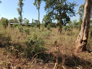 Commercial & Industrial Land