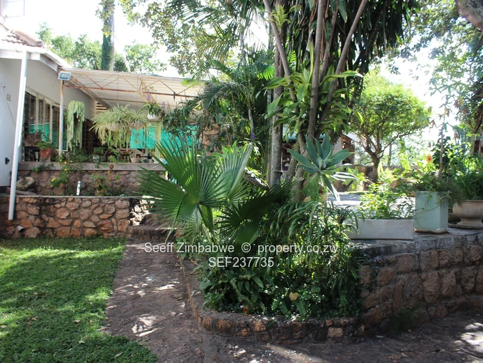 Executive Family Home