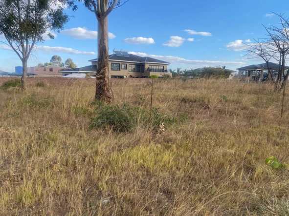 Stands & Residential Land
