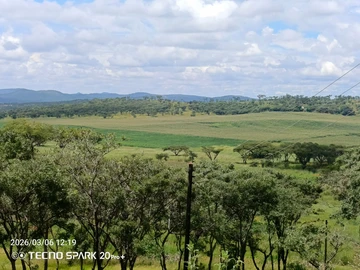 Farm & Agricultural Land