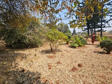Stands & Residential Land