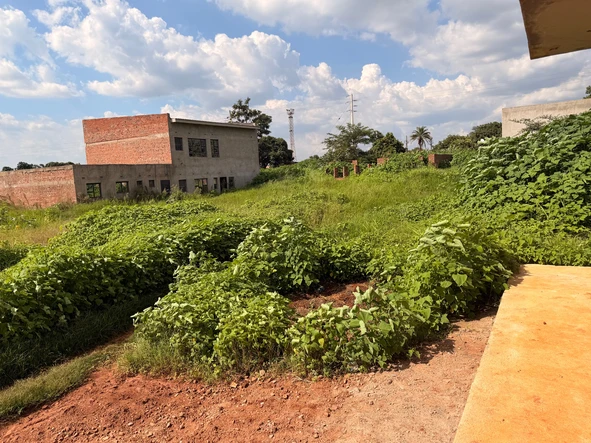 Commercial & Industrial Land