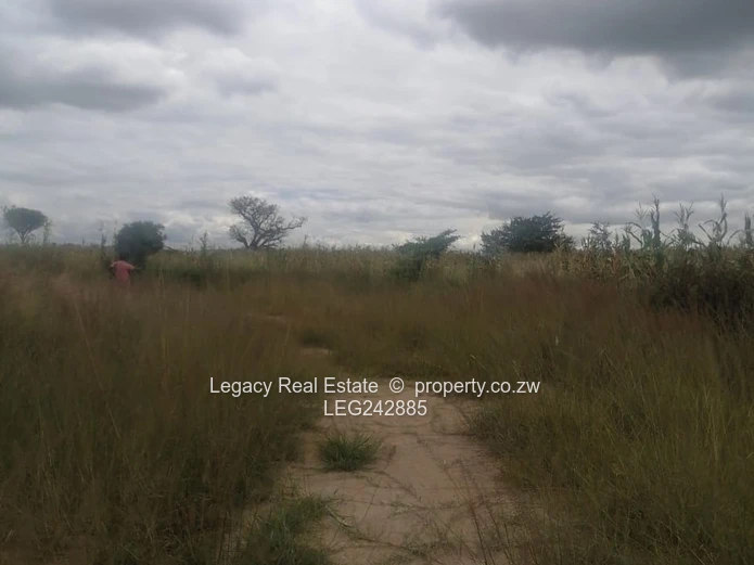 Zvimba Farm for Sale – 50.6 Hectares with Title Deeds