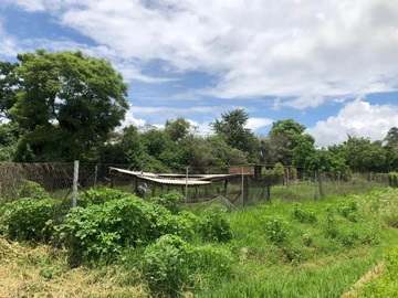 Farm & Agricultural Land