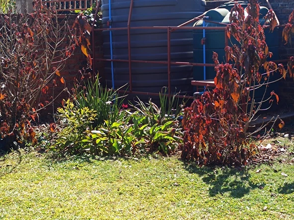 2 Bedroom Garden Flat