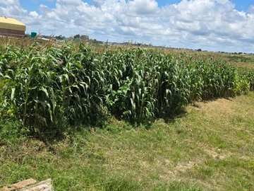 Commercial & Industrial Land