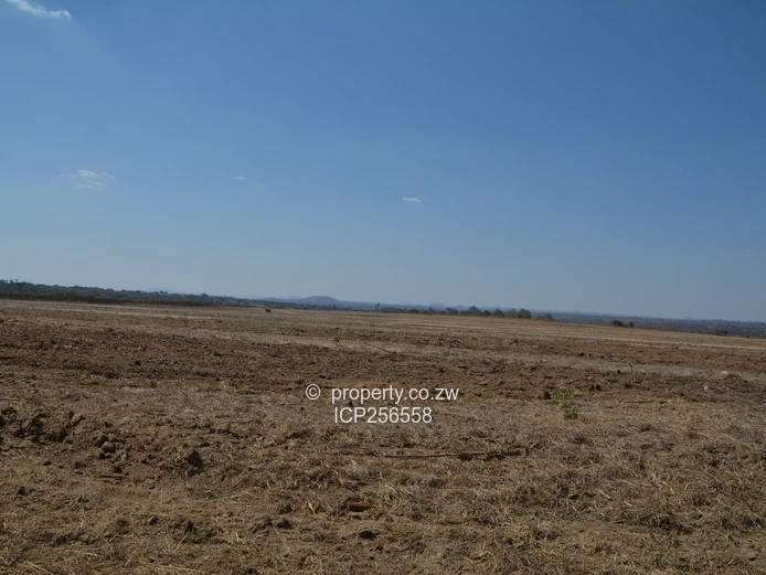 7 Hectares Liwonde Farm Goromonzi
