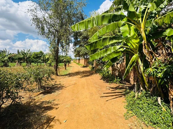 Farm & Agricultural Land