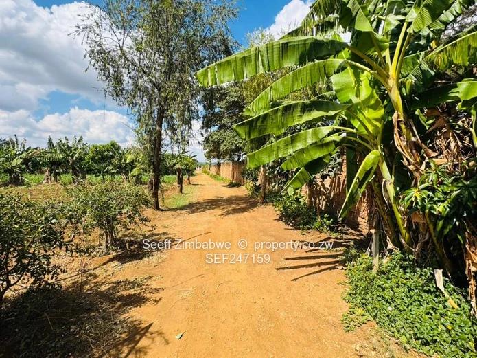 Prime Multi-Purpose Plot | Knowe, Norton