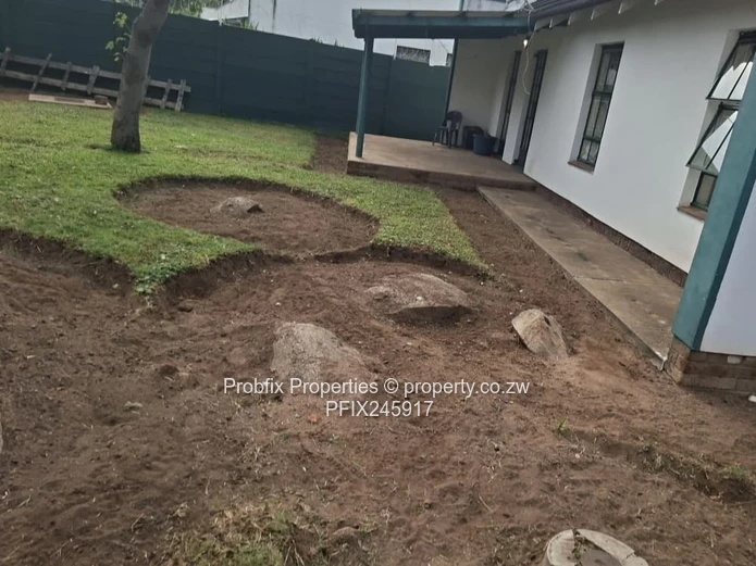 Msasa Investment opportunity