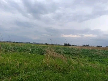 Farm & Agricultural Land