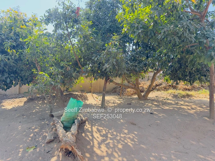 Generous Size Stand with 2-Bed Cottage, Zimre Park