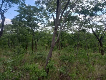 Farm & Agricultural Land