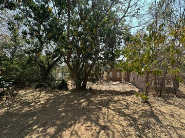 Commercial Property