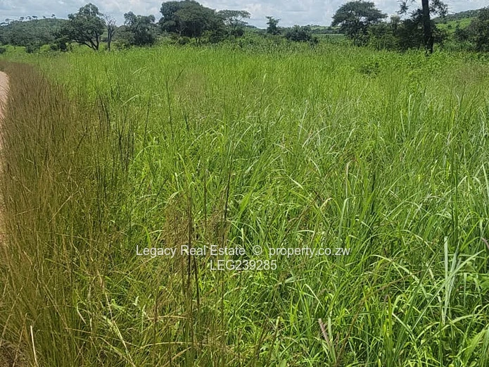 Prime 2,000sqm Stands for Sale Near Concession–Glendale Road, Concession