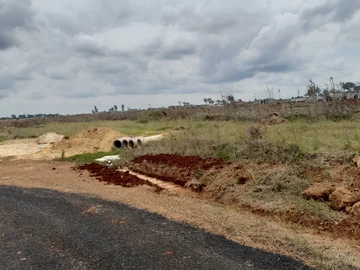 Stands & Residential Land