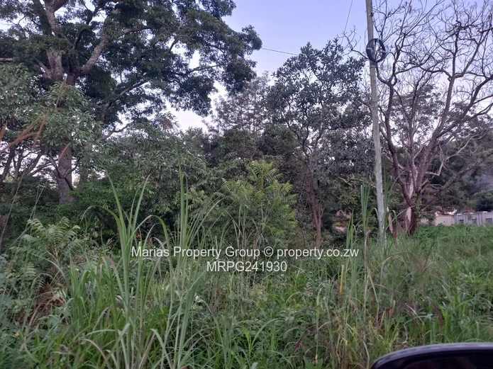 7249 m² Glen Lorne Stand — Tarred Roads, Water & Sewer