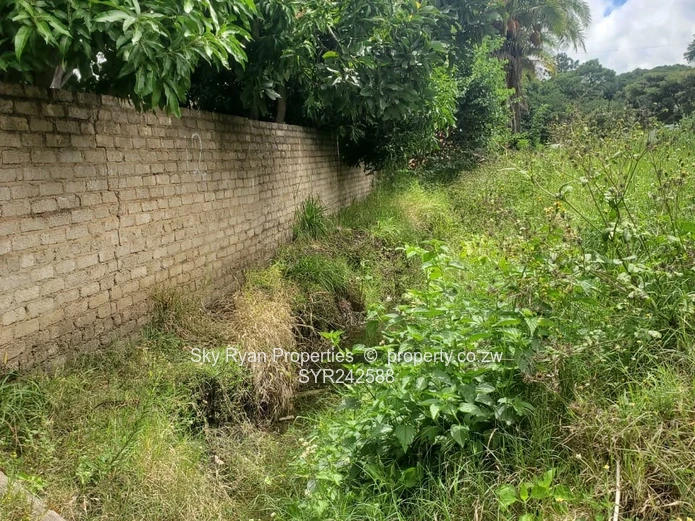 Avondale Stand For Sale