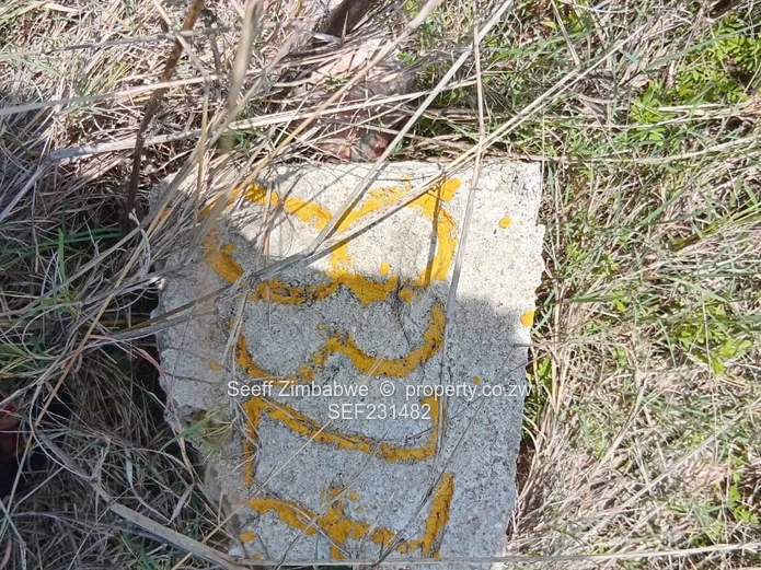 A choice of 3 residential vacant stands Tawona Gardens Ruwa Stand - Up for grabs (Sole Mandate)