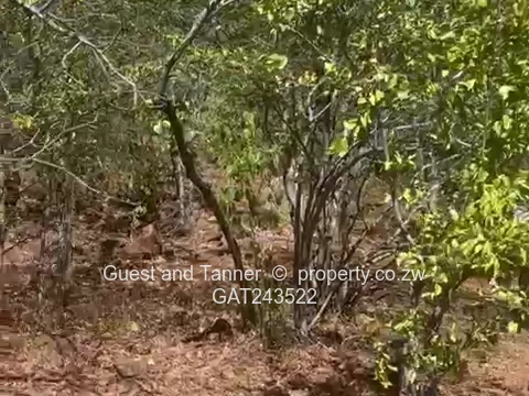 Batoka Gorge Riverfront Investment Property – 13.5ha High-Value Commercial and Tourism Land