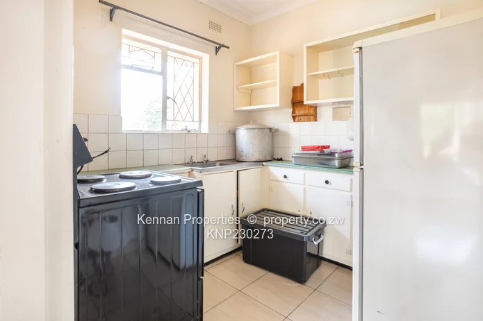 Potential On Arcturus Road - Nostro!