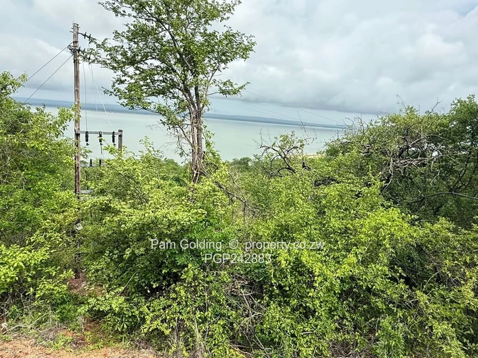 Lake View Development Stand