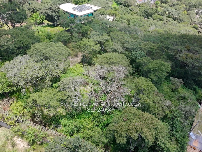 New Listing. Expansive Residential Land In Glen Lorne (Sole Mandate)