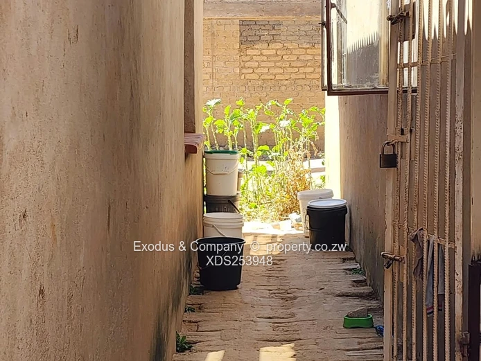 Houses for sale