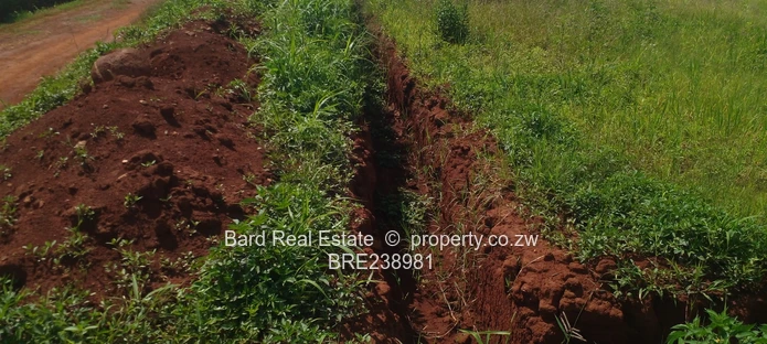 Medium Density Stands For Sale