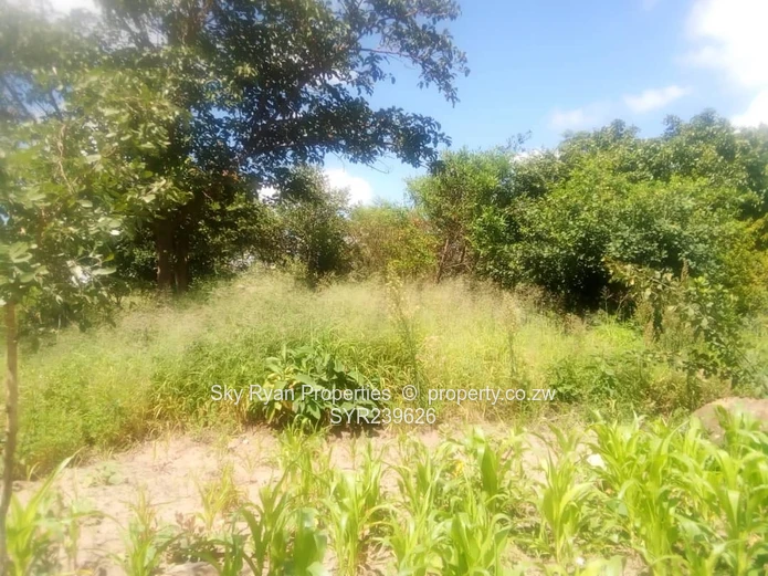 Crowhill Land For Sale