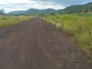 Farm & Agricultural Land