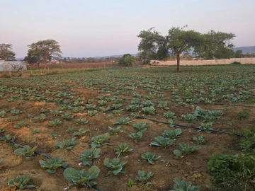 Farm & Agricultural Land