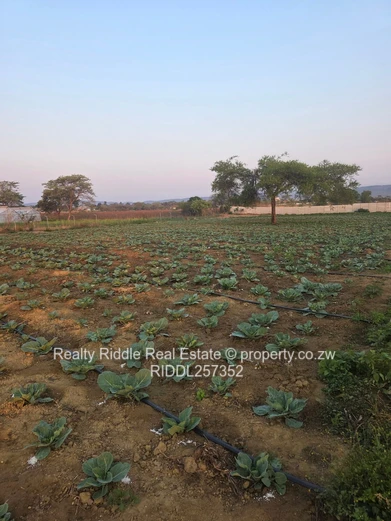 10,000-Acre Irrigated Farm with Greenhouses & Main Road Frontage