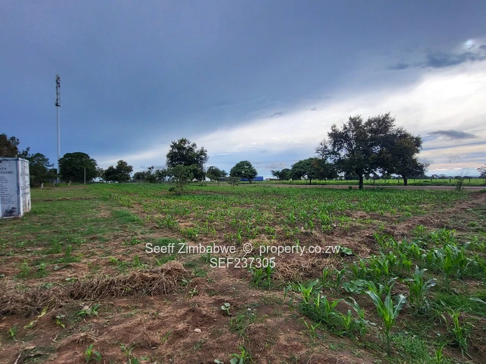 Ready To Build Stand In Waterfalls