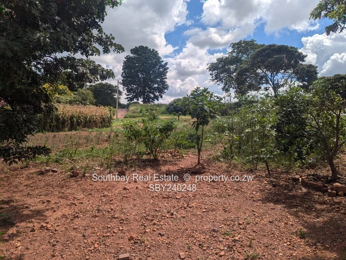 Build your future in Tynwald South