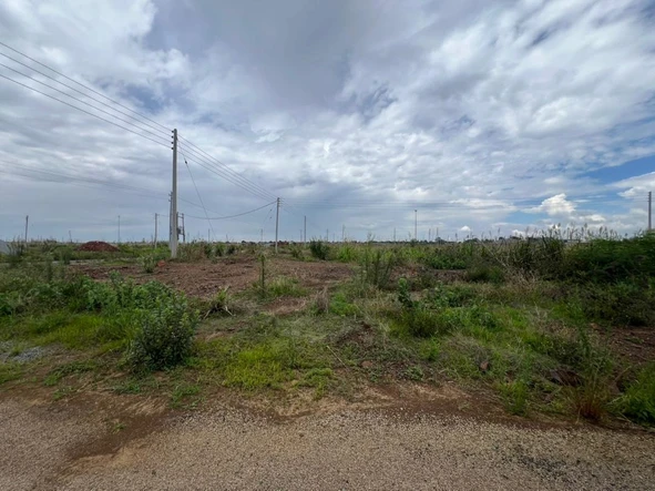 Stands & Residential Land