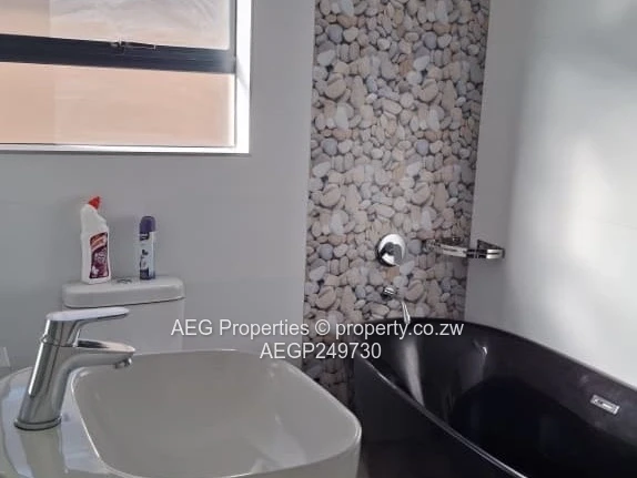 Apartment To Rent 