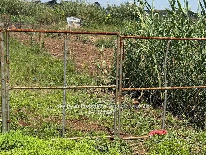 Bluffhill Stand For Sale 