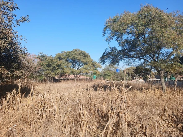 Stands & Residential Land