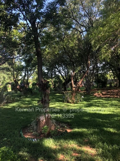 This beautiful family home is a hidden treasure situated in the most sought after residential suburb