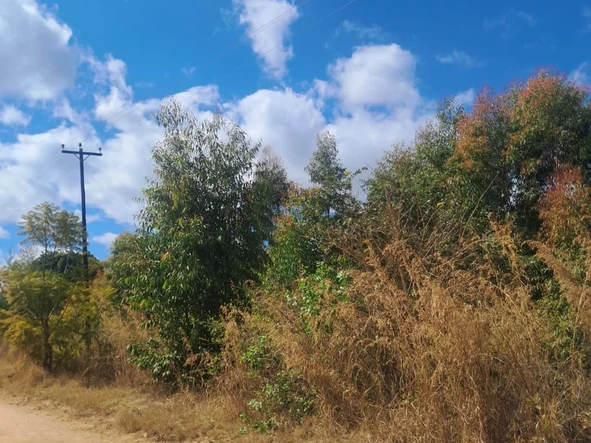 Commercial & Industrial Land