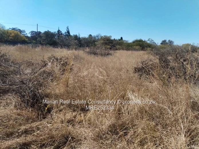 Douglasdale Stand For Sale