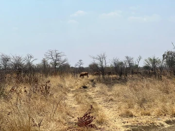 Farm & Agricultural Land