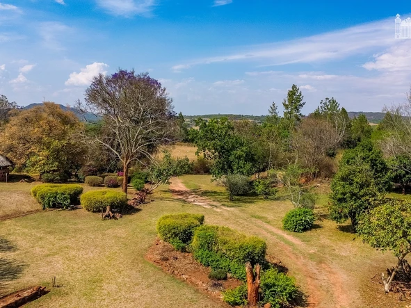 Farm & Agricultural Land