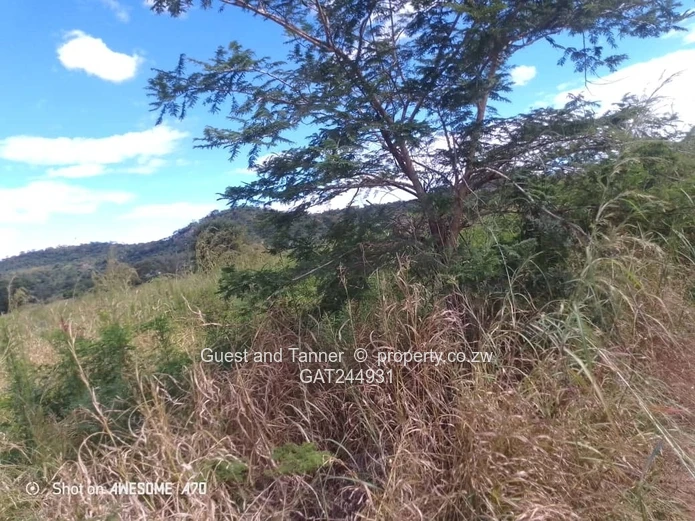 Residential Stand For Sale In Greenhill Bindura
